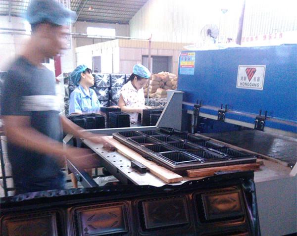 Blister Plastic Cutting Machine